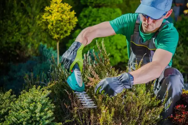 landscaping services Fort Salonga
